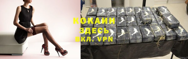 твердый Богданович