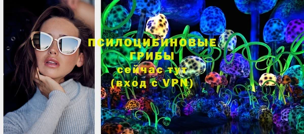 твердый Богданович