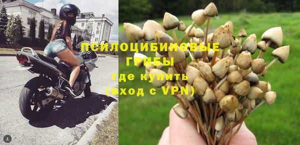 стафф Богородицк