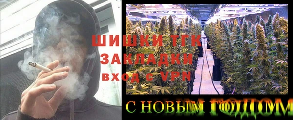 твердый Богданович