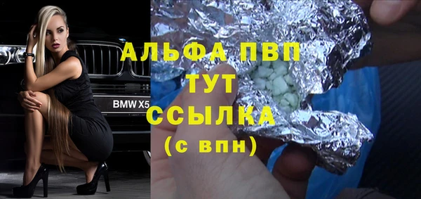 твердый Богданович