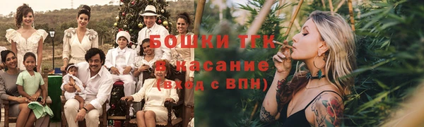 твердый Богданович