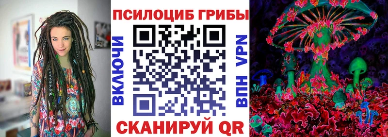 OMG ONION  Кировск  Галлюциногенные грибы Psilocybine cubensis 