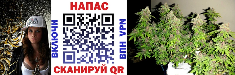 Каннабис Bruce Banner  купить  цена  Кировск 